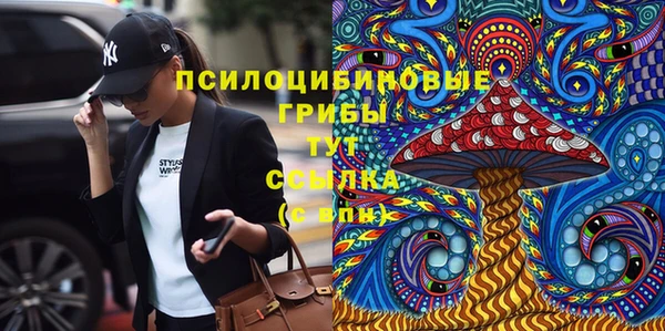 ПСИЛОЦИБИНОВЫЕ ГРИБЫ Алексеевка